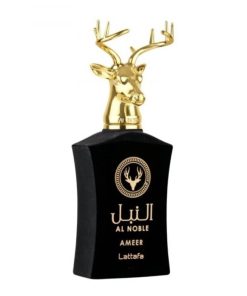 Ameer EDP 100 ml