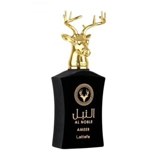 Ameer 100 ml