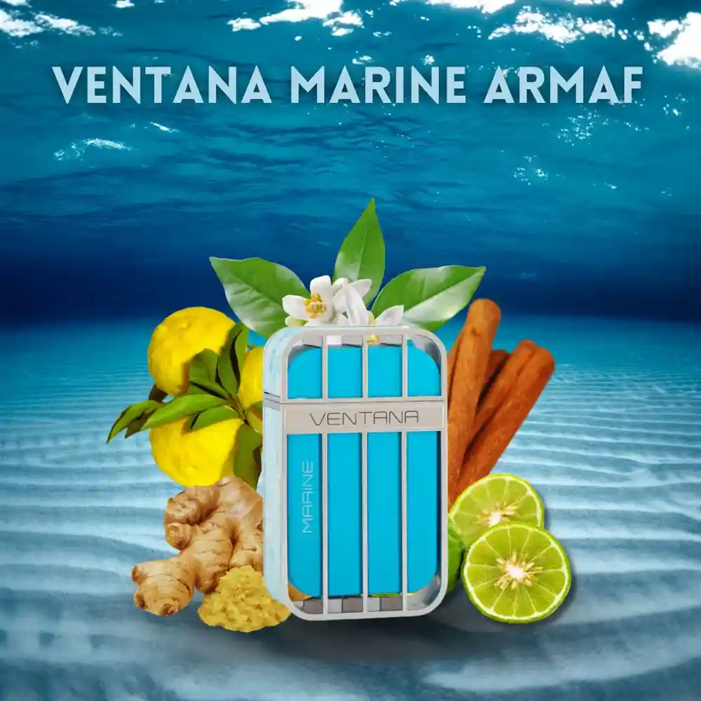 Ventana Marine EDP 100 ml - Imagen 3
